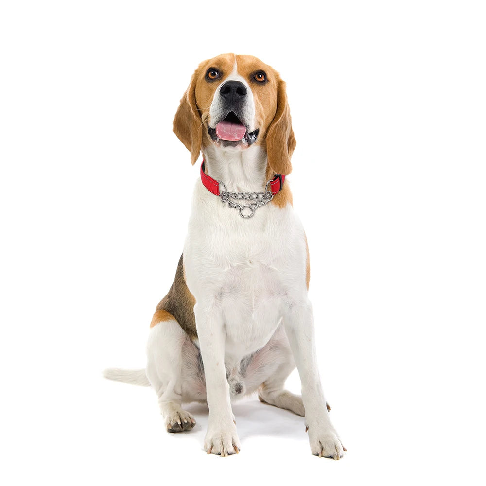 Collar antiescape Martingale de cadena y nylon reflectante para perros