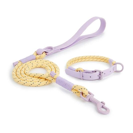 Reflective nylon dog collar and leash set