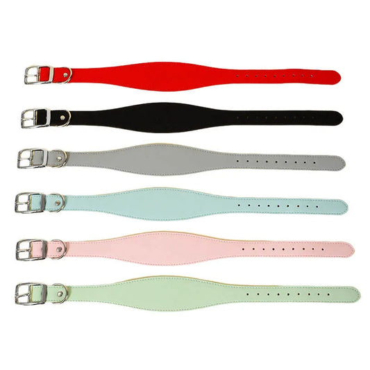 Wide synthetic leather collar designed for greyhounds and similar breeds 
