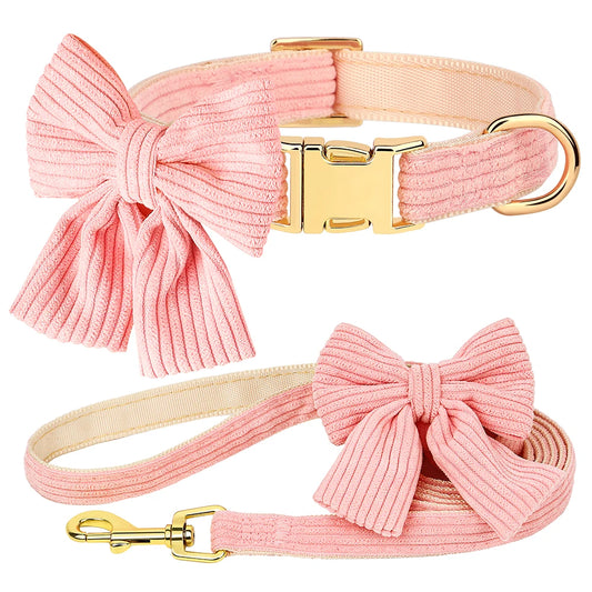 Beautiful collar and leash with velvet bow 