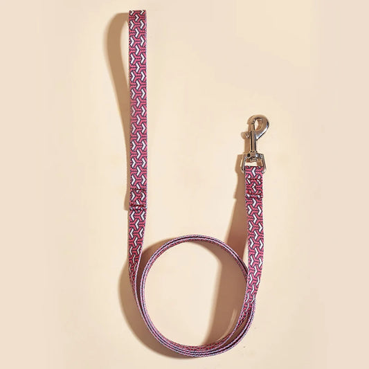 Printed nylon pet leash