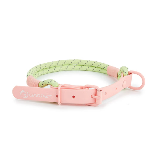 Pet collar with nylon leash and PVC ring