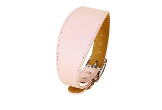 Wide synthetic leather collar designed for greyhounds and similar breeds 